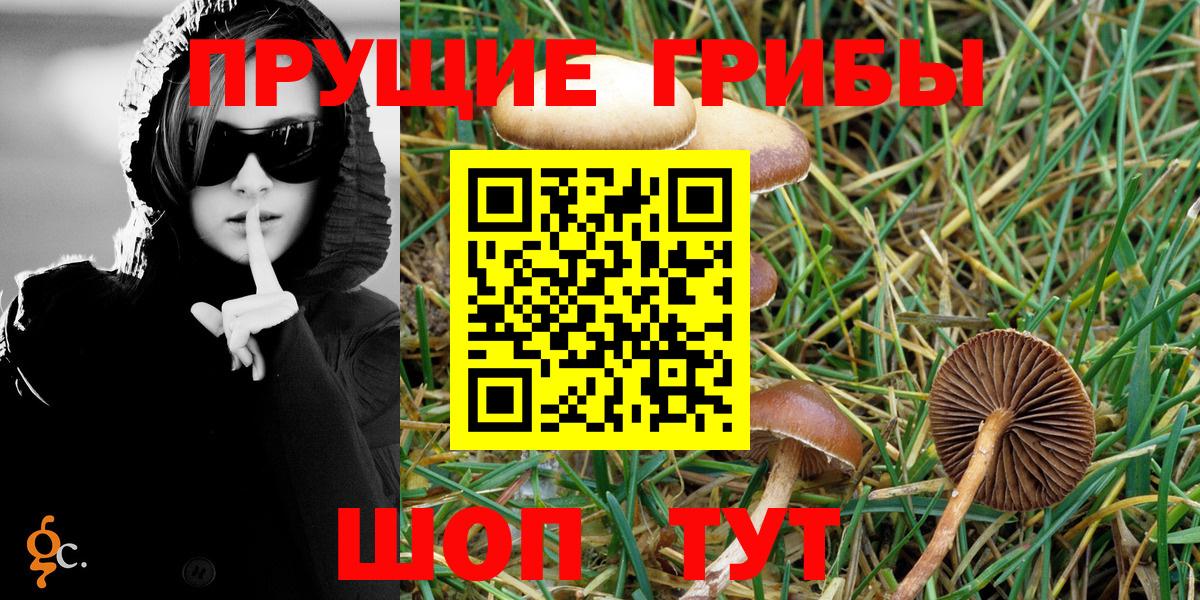 Саяногорск  Галлюциногенные грибы GOLDEN TEACHER  Вход с VPN  Псилоцибиновые грибы MAGIC MUSHROOMS 